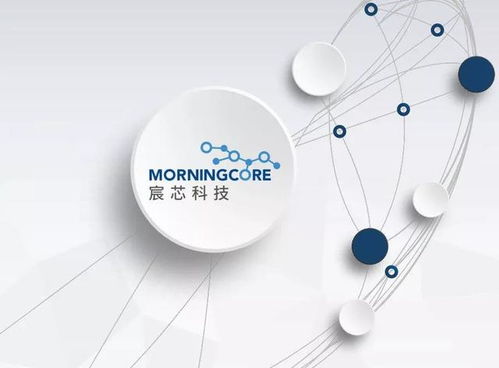 西海岸數(shù)字經(jīng)濟(jì)產(chǎn)業(yè)新篇章 300余家企業(yè)匯聚，技術(shù)開(kāi)發(fā)引領(lǐng)未來(lái)